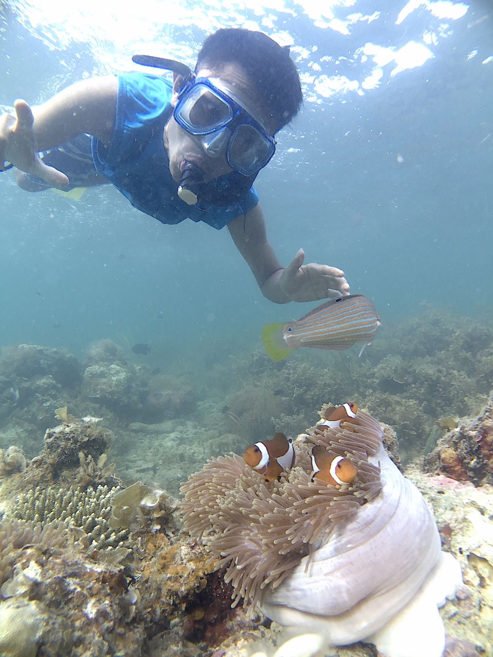 Snorkeling - Paket A